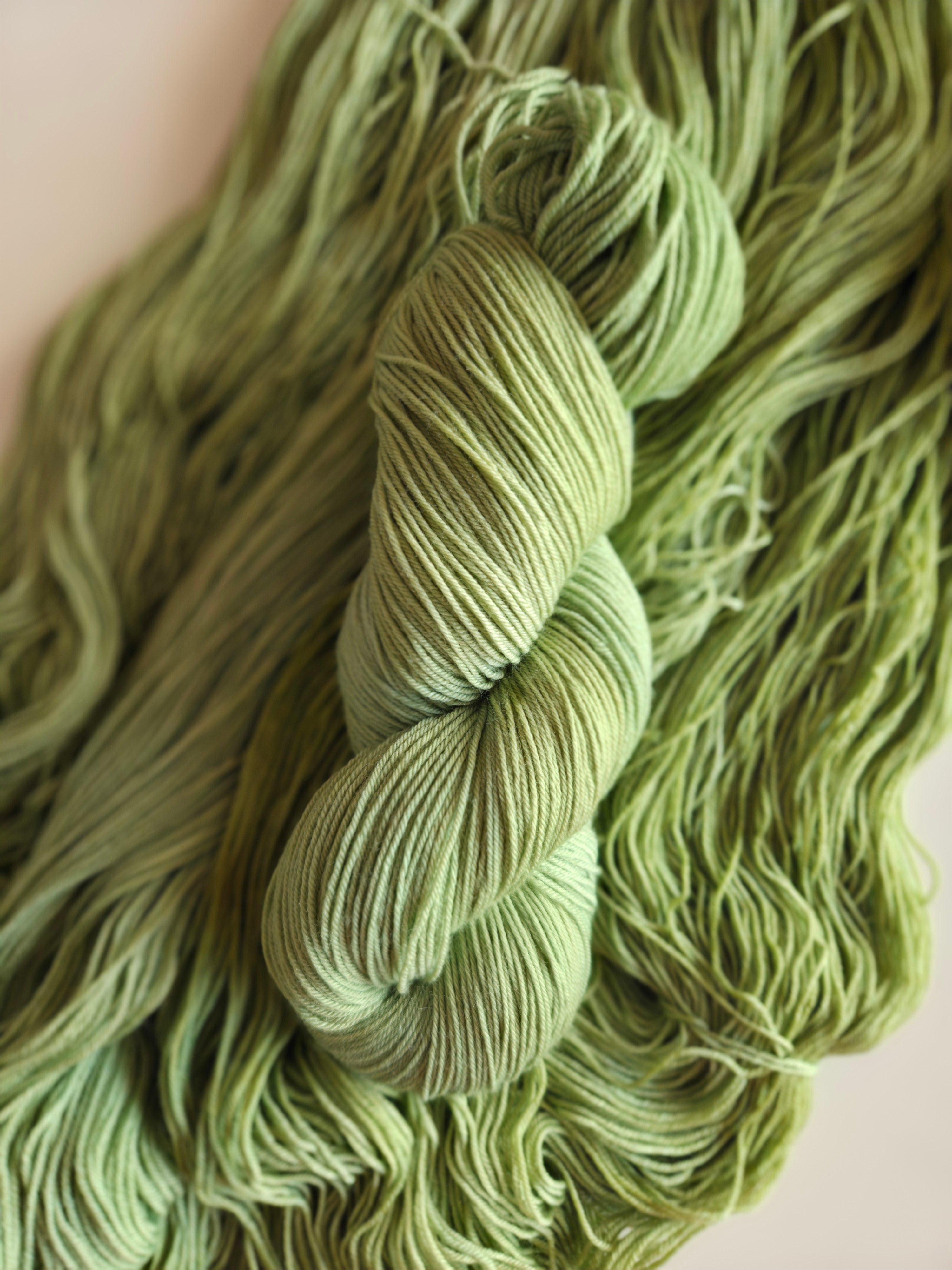 Arbena