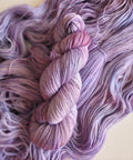 Lavendula