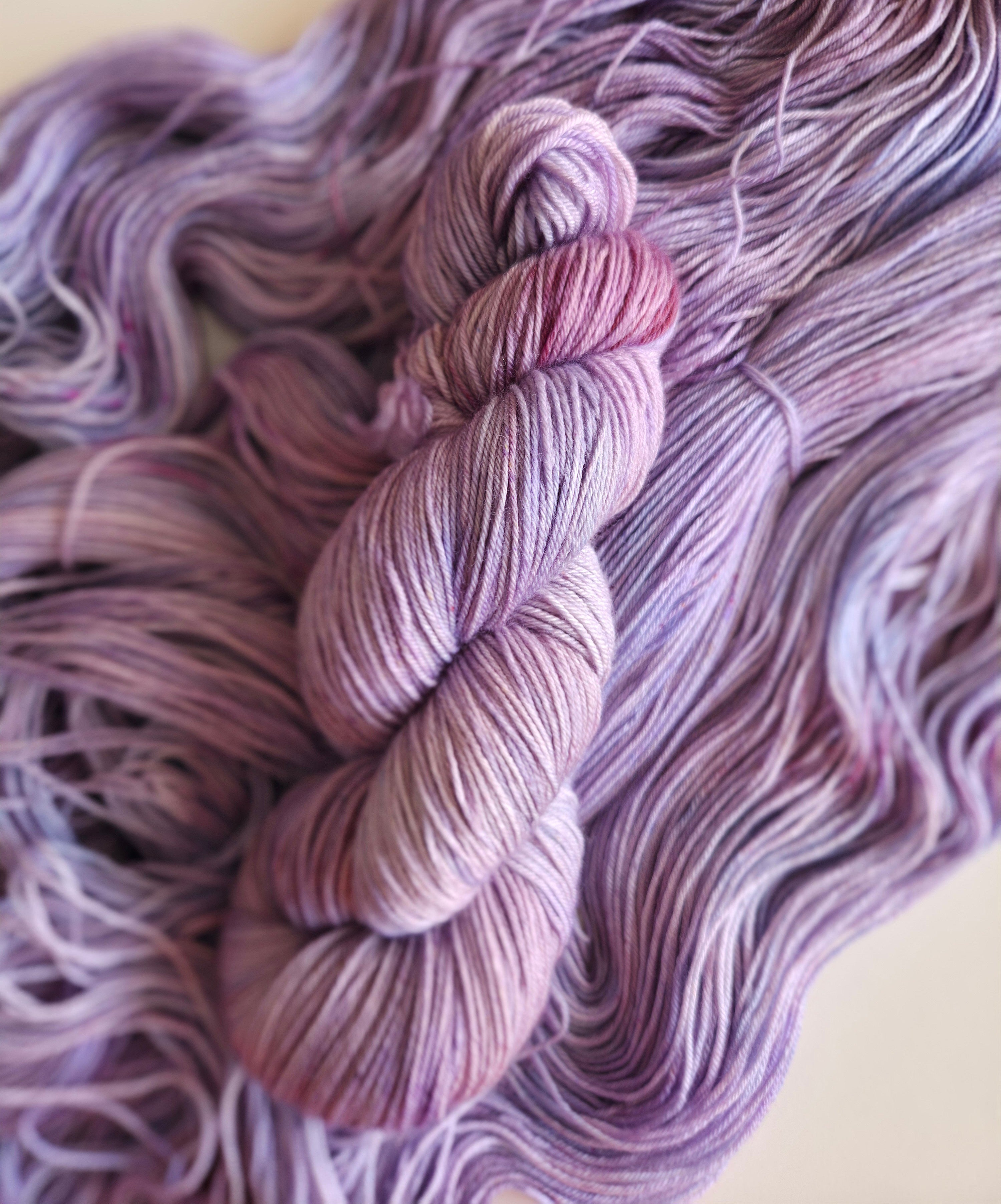 Lavendula