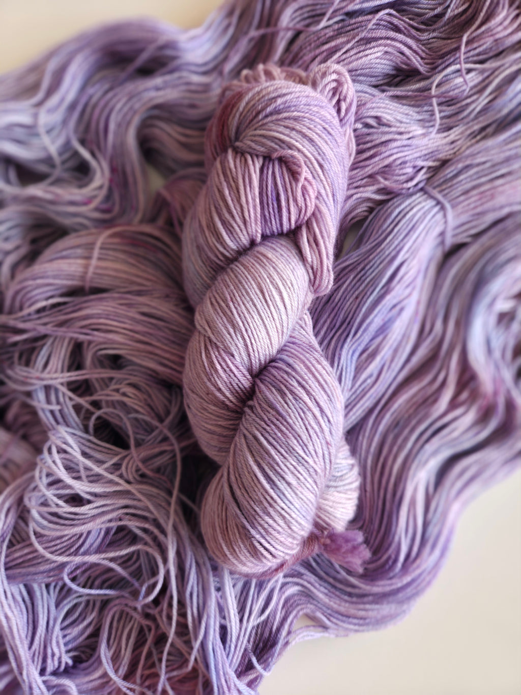Lavendula