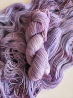 Lavendula