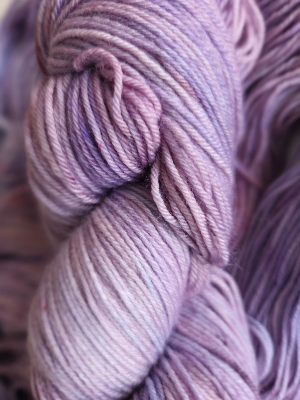 Lavendula